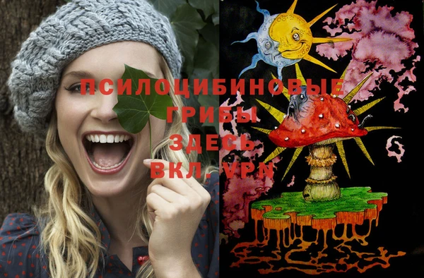 эйфоретик Белокуриха